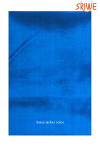 Handloom Silk Cotton Light Blue Saree